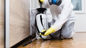 Best Real Estate Pest Inspections  in North Cape May, NJ